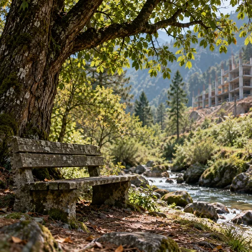 An empty bench in a quiet grove beside encroaching construction