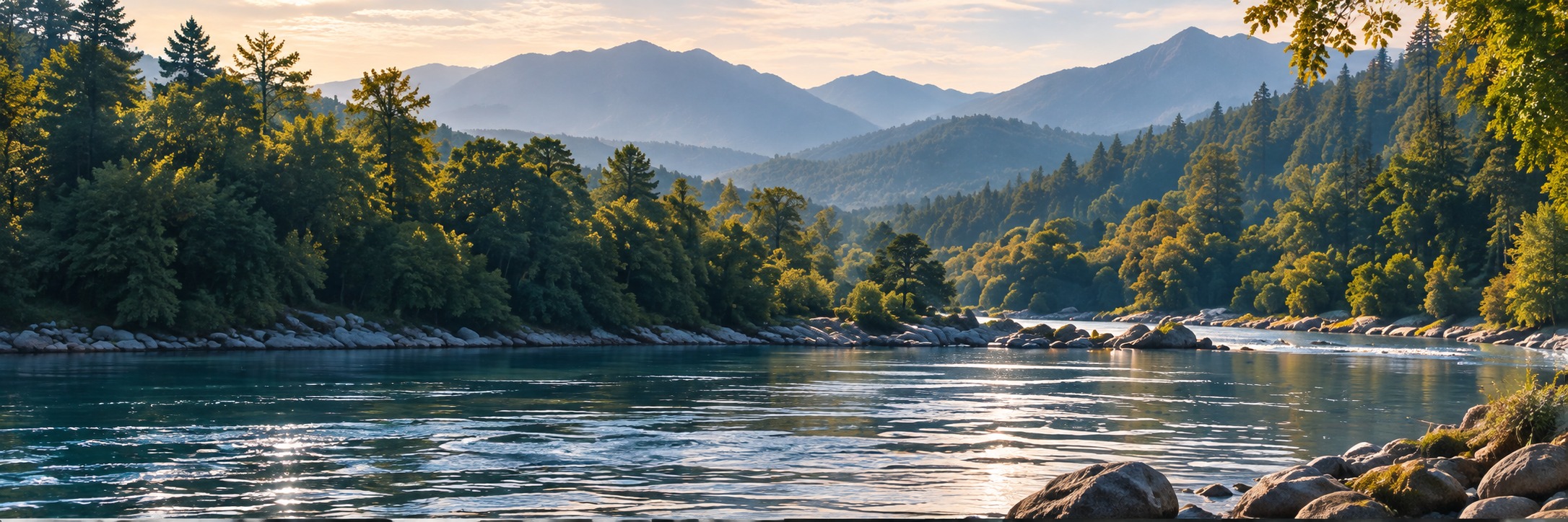 River flowing through a forested mountain landscape